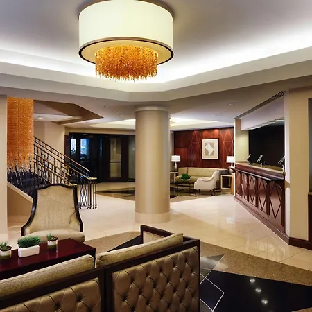 Hilton Arlington-3